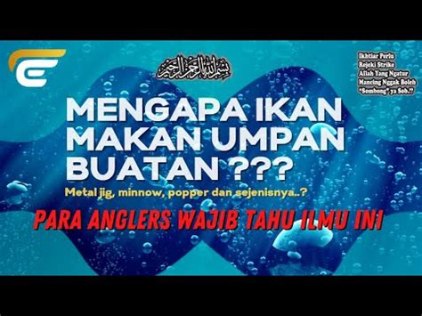 Mengapa Ikan Makan Umpan Buatan YouTube