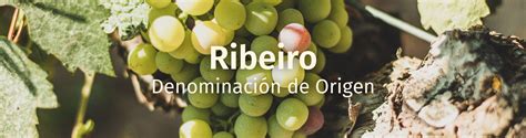 Vinos De Ribeiro Galicia