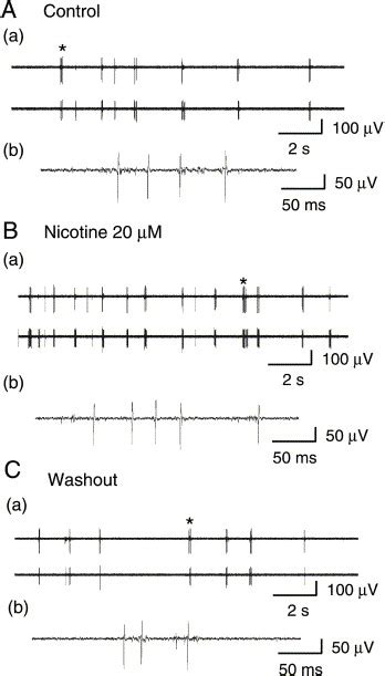 Spatio Temporal Cholinergic Modulation In Cultured Networks Of Rat