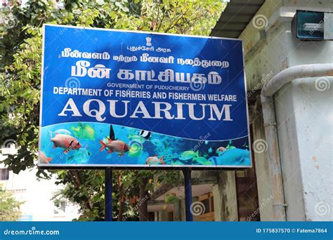 Aquarium Inside Botanical Garden in Puducherry, India Editorial Image ...