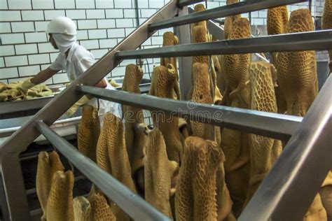 Processamento De Carne Na Ind Stria Alimentar Fotografia Editorial