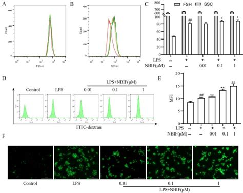 Effect Of Nbif On Phagocytosis In Lps Induced Raw Cells A C