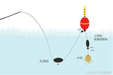 夏季釣鰱鱅，這樣釣更有效，大魚一條接一條，釣一次爽一次 每日頭條