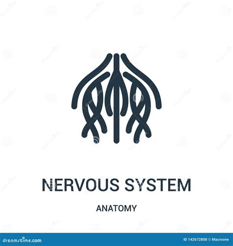 Nervous System Icon Vector From Anatomy Collection Thin Line Nervous