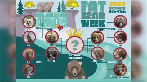 Fat Bear Week 2022 Vote For Katmai Parks Fattest Bear