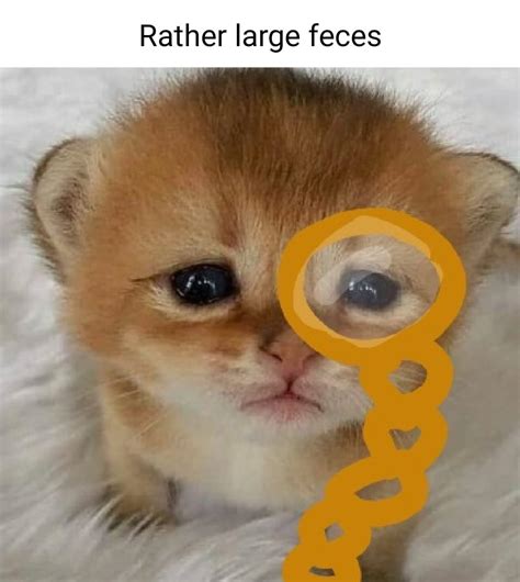 2236 Best R Apandah Images On Pholder The Fuck Happened