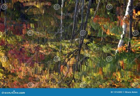 Autumn Lake reflection stock photo. Image of green, outside - 1314302