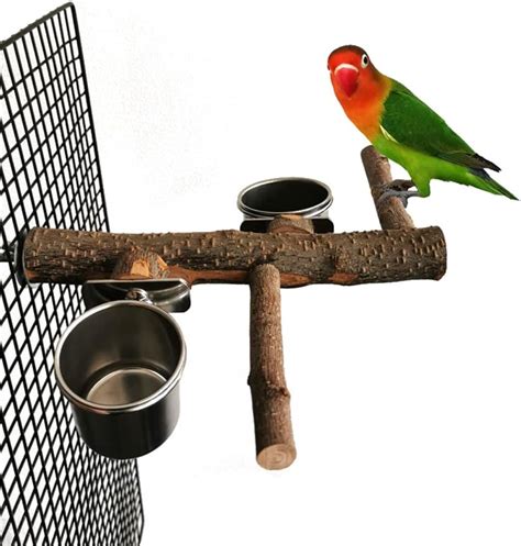 Amazon Barn Eleven Bird Wood Stand Perch With Stainless Steel