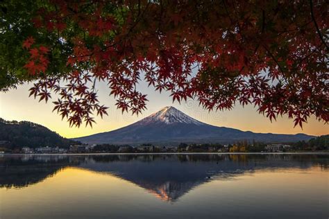 Fuji Mountain Reflection And Red Maple Leaves In Autumn Kawaguchiko