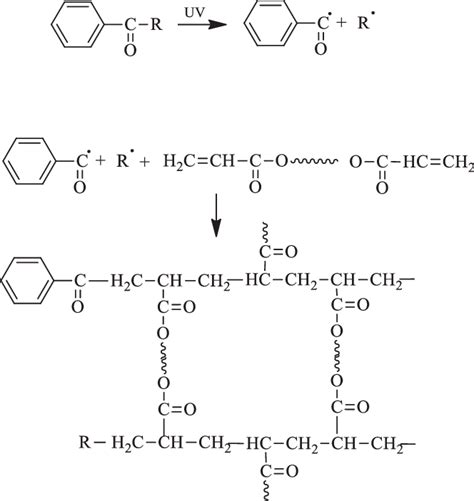 Steps Of UV Crosslinking Reaction In Functional Monomer 177 A