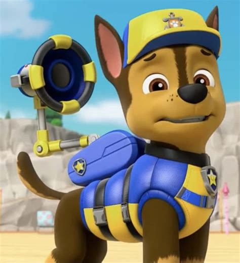 100 Fondos De Fotos De Chase Paw Patrol