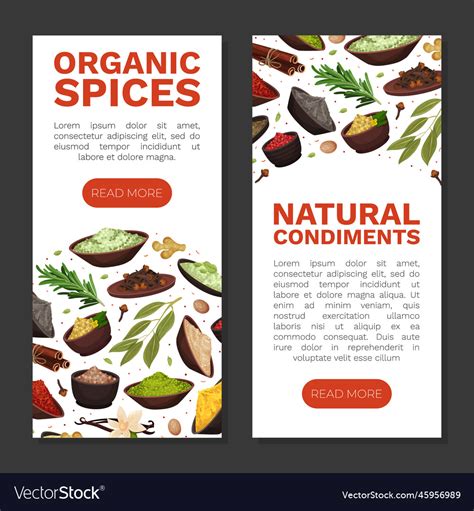 Seasoning And Spices Banner Design With Pile Vector Image