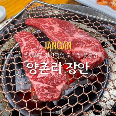 장안동 맛집 장한평역 고기집 양촌리 정육식당 장안점 네이버 블로그