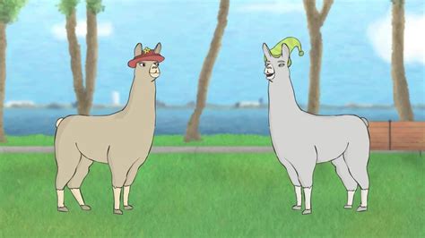 Ламы в шляпах 5 Llamas With Hats Youtube