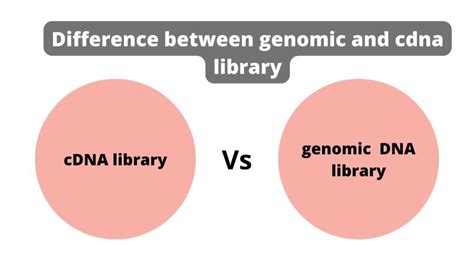 Difference Between Genomic And Cdna Library Biology Notes Online