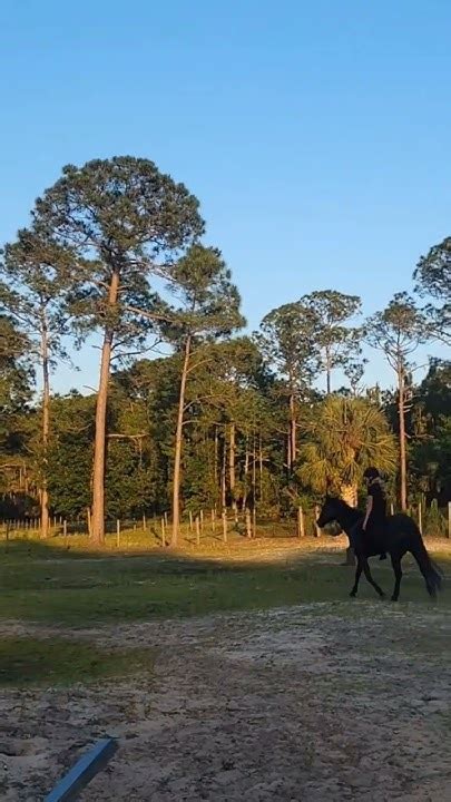 Bareback Nothing On Just Me And My Heart Horse We Have Come So Far In