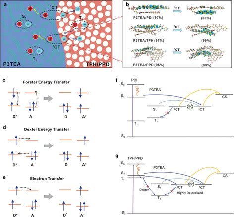 Photophysical Process In An OSCs A Exciton Diffusion And Separation