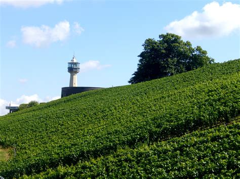 Otro Punto Emblem Tico De La Montagne De Reims Esta Torre Es El Otro