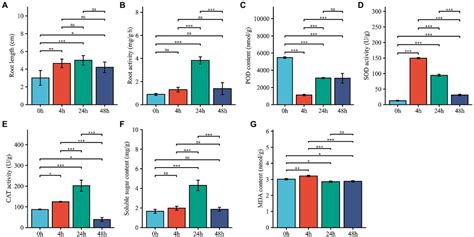 Frontiers Identification And Characterization Of Long Noncoding Rnas