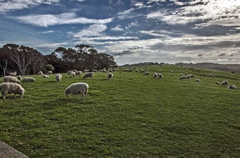 Free Images Landscape Field Meadow Prairie Hill Mountain Range