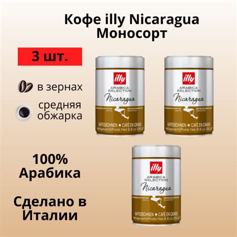 Illy Monoarabica Nicaragua