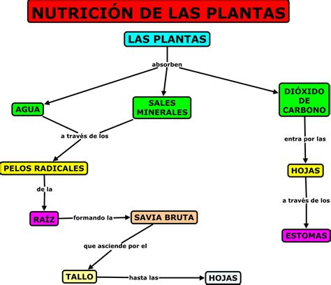 Nutrición Plantas