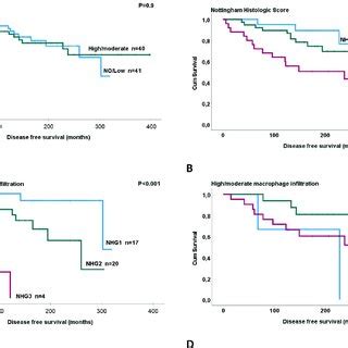 Kaplan Meier Curves Demonstrating Disease Free Survival Dfs In