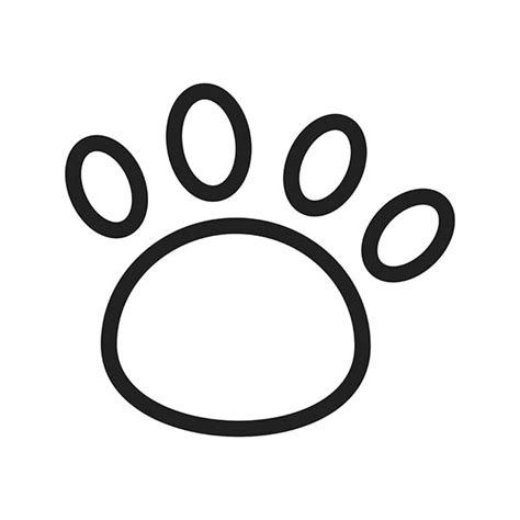 Dog Paws: Anatomy, Care, and Fun Facts!