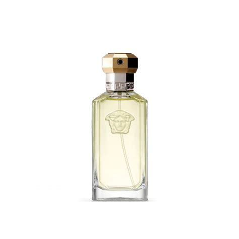 Authentic Original Versace Dreamer Tester 100ml Eau De Toilette Spray