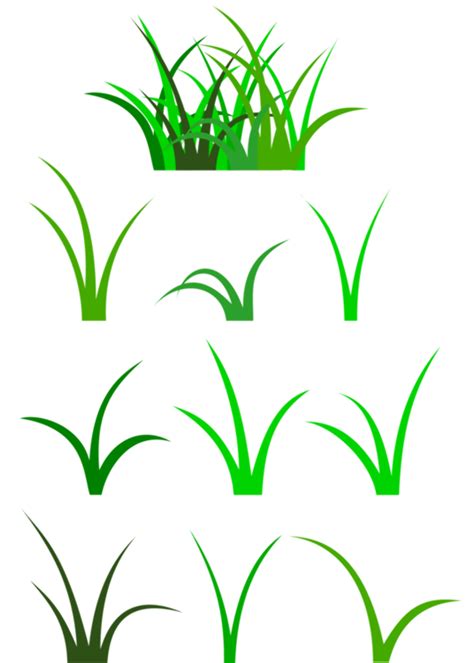 Download High Quality Grass Clipart Drawing Transparent Png Images