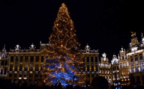 Brussels will set up giant Christmas tree on Thursday