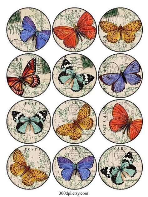 Pin By Groblertanya On Butterflies Paper Butterflies Scrapbook