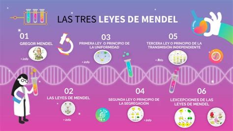 Tres Leyes De Mendel