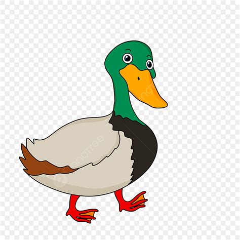 Walking Duck Clipart Transparent PNG Hd Hand Drawn Cartoon Green Duck