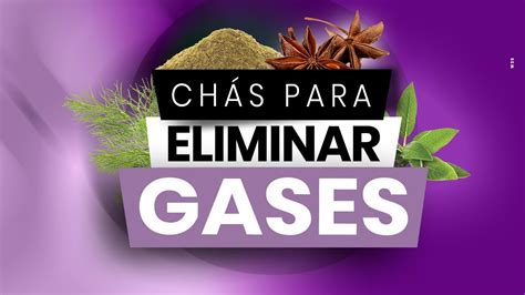 Chás que eliminam gases estomacais e intestinais Descubra um universo