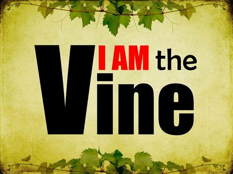 I Am The Vine Digging The Word