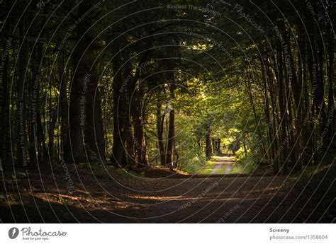 Langer Weg Ausflug Ein Lizenzfreies Stock Foto Von Photocase