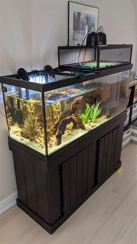 Aquatic Turtle Tank Turtle Aquarium Aquatic Turtles Aquarium Stand