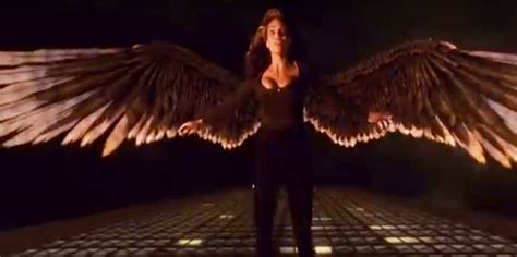 Arrow And The Flash Crossover Burning Questions About Hawkgirl And