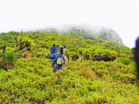 Mountain Climbing Lake Mulehe Safari Lodge