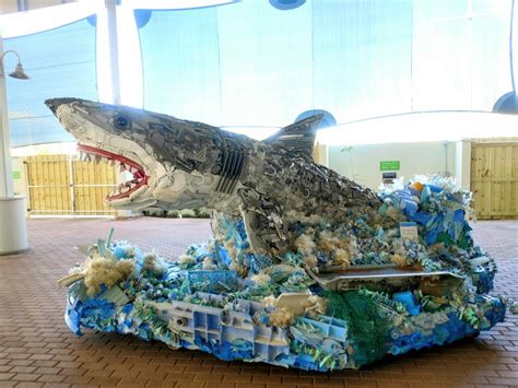 Art Sculpture Project Brings Awareness to Ocean Pollution – Ryanne Levin