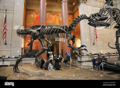 Wide Angle View Inside The Theodore Roosevelt Rotunda The Main