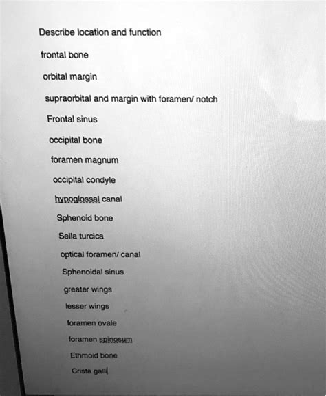 SOLVED: Frontal bone Orbital margin Supraorbital margin with foramen/notch Frontal sinus ...