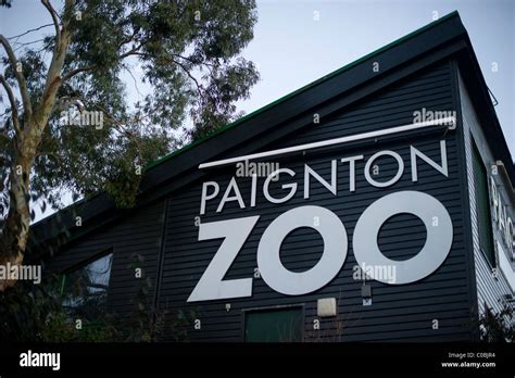 Paignton zoo hi-res stock photography and images - Alamy