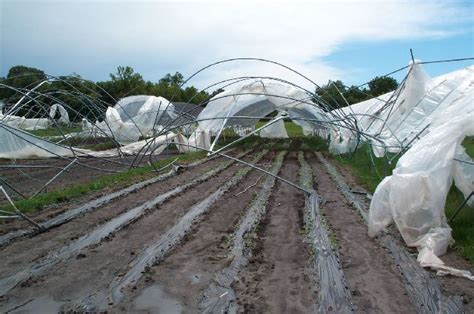 Introduction To High Tunnels Eorganic