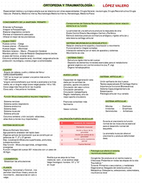 Ortopedia Er Parcial Apuntes De Traumatologia Y Ortepodxeai