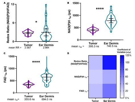 Figure 3 From Intravital Metabolic Autofluorescence Imaging Captures