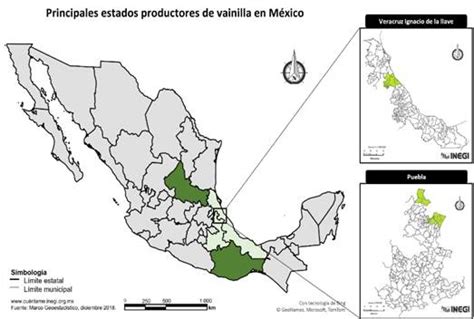 Cultivo de vainilla en México Tipología características producción