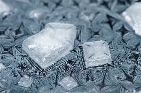 Salt Crystals Stock Image C0363507 Science Photo Library