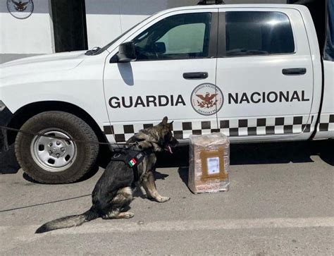 Asegura Guardia Nacional 7 kilos de marihuana en San Luis Potosí